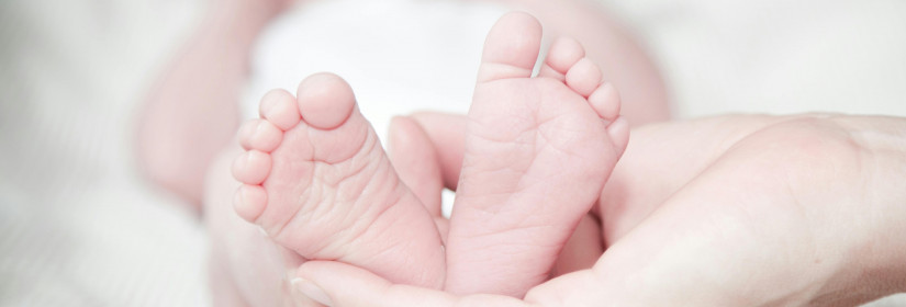 The Role of Genetics in Birth Defects and Their Prevention